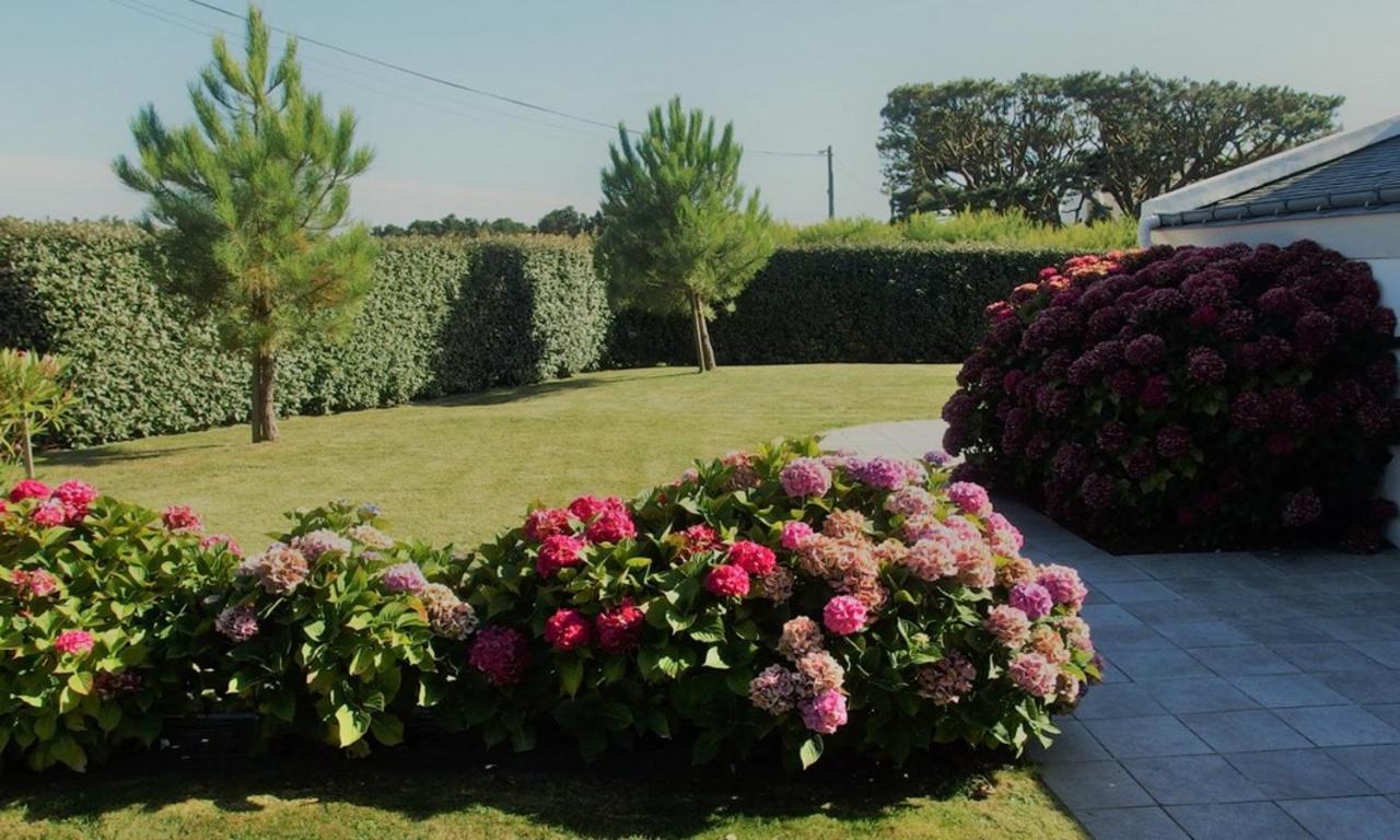 Maison Accueillante A Bangor Avec Jardin Clos Et Cheminee Dış mekan fotoğraf